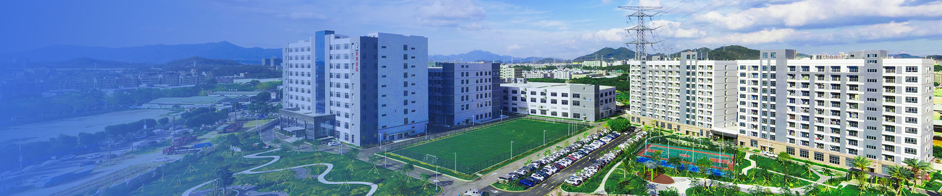 ��ϵ����