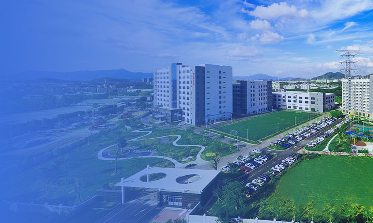 ��ϵ����